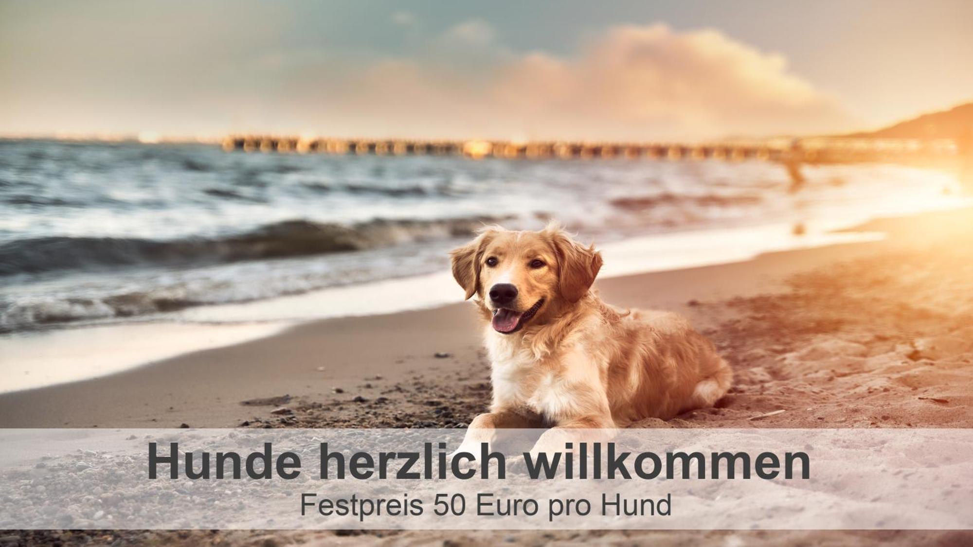 Großheide Gulfhof-Ferien Briese 아파트 외부 사진